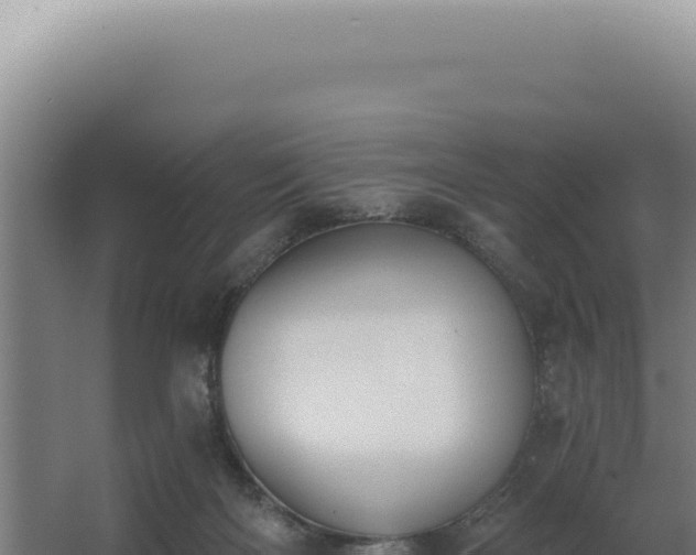 X0000068310122200604281745