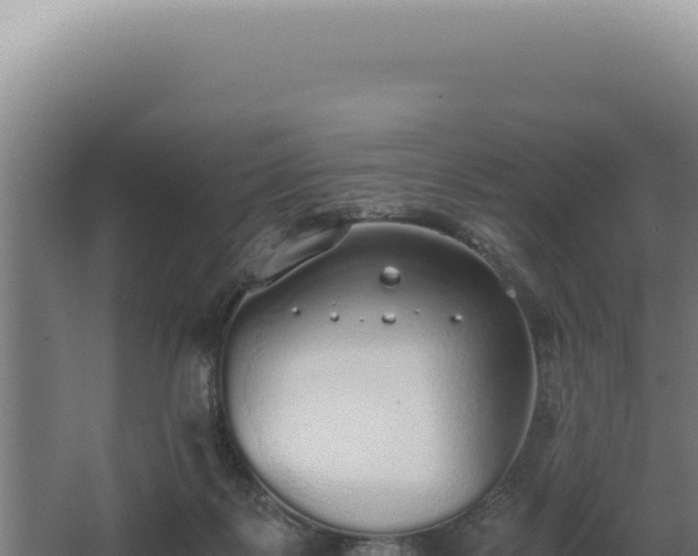 X0000068310123200604281745