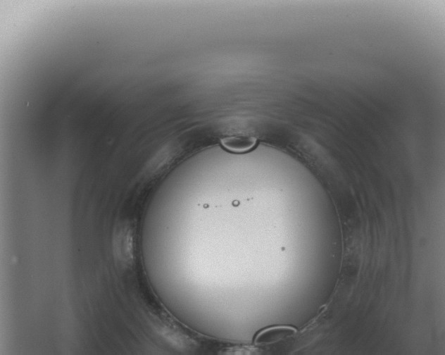 X0000068310124200604281745