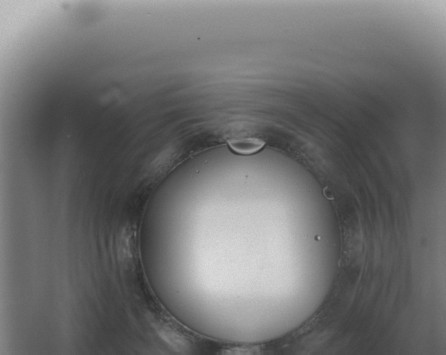 X0000068310126200604281745