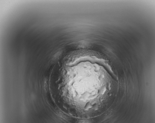 X0000068310127200604281745