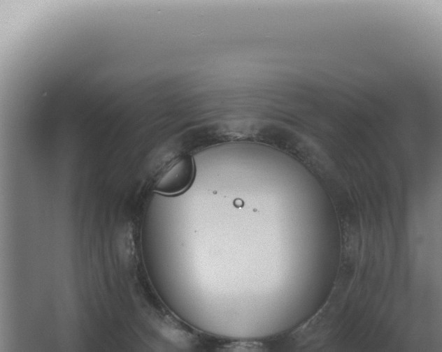 X0000068310128200604281745