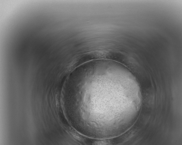 X0000068310131200604281745