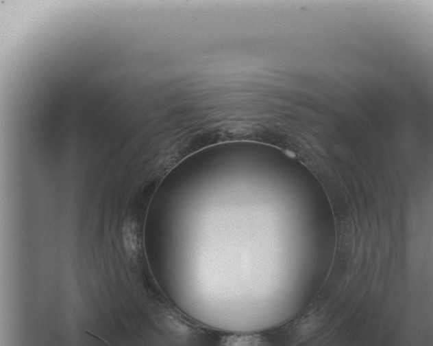 X0000068310135200604281745