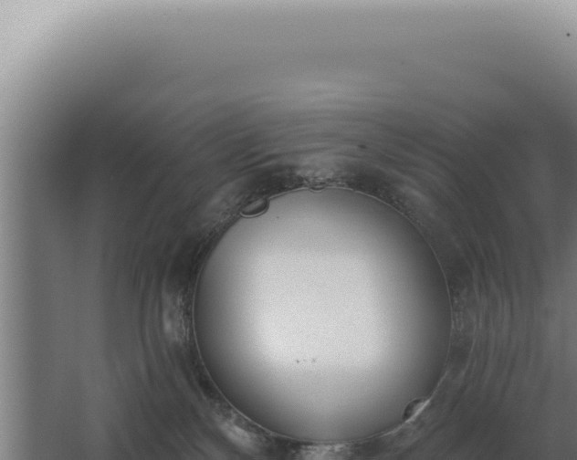 X0000068310136200604281745