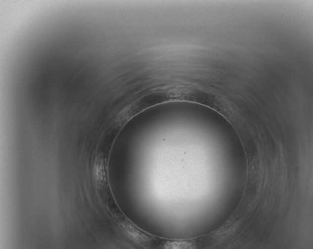 X0000068310137200604281745