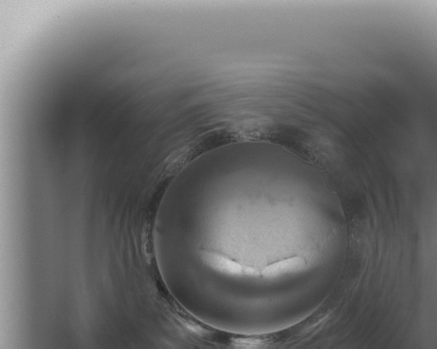 X0000068310139200604281745