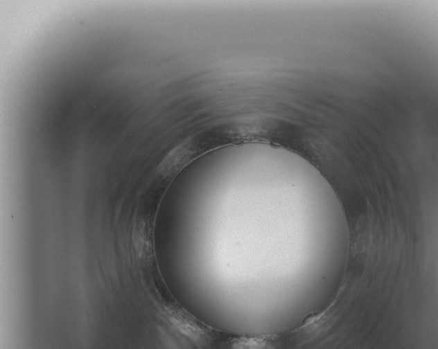 X0000068310140200604281745