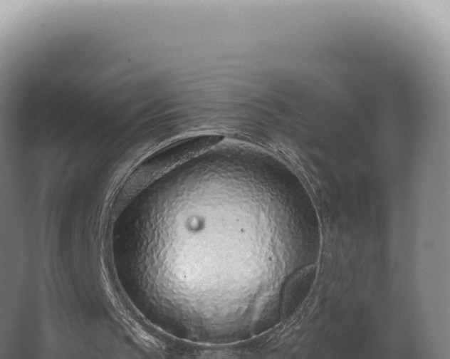 X0000068310145200604281744