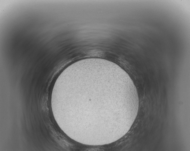 X0000068310146200604281744