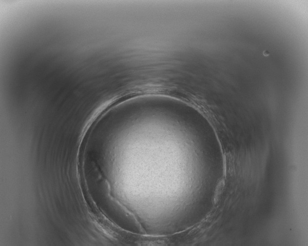 X0000068310147200604281744