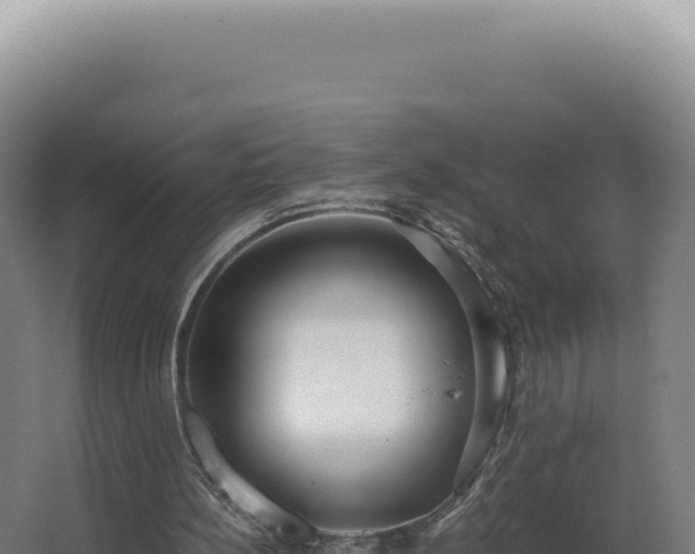 X0000068310148200604281744