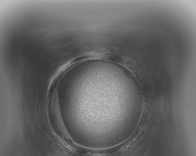 X0000068310149200604281744