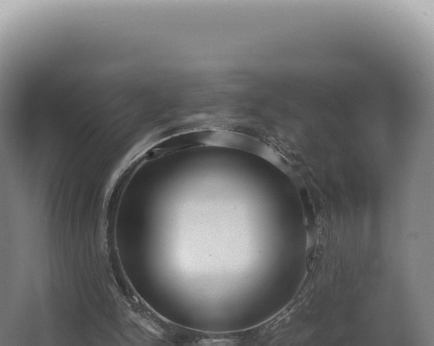 X0000068310150200604281744