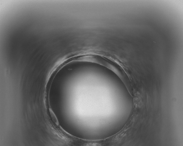 X0000068310152200604281744