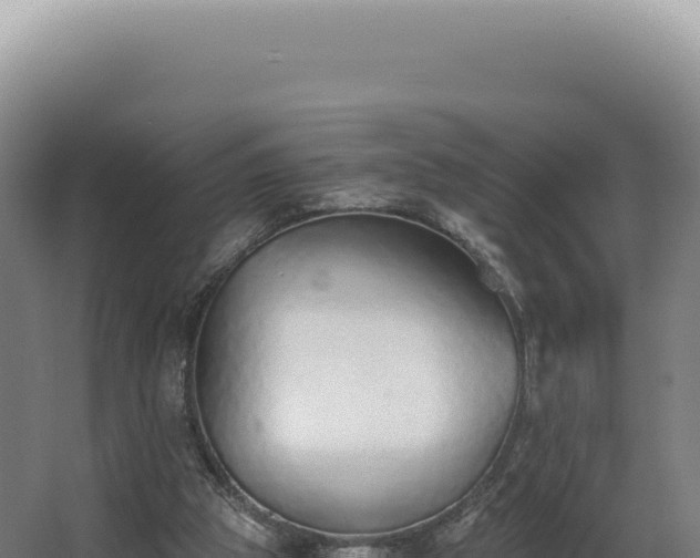 X0000068310153200604281744