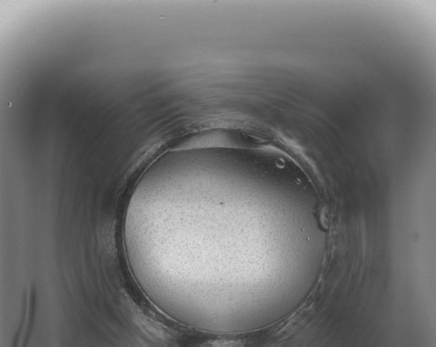 X0000068310154200604281744