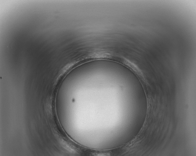 X0000068310155200604281744