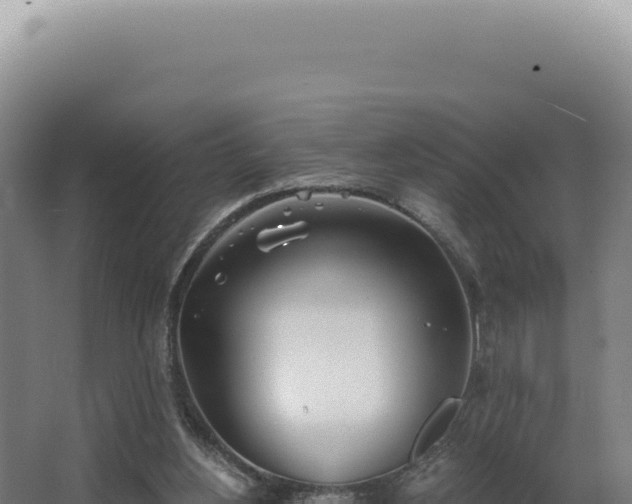 X0000068310156200604281744