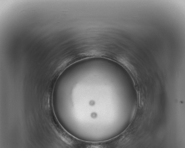 X0000068310157200604281744