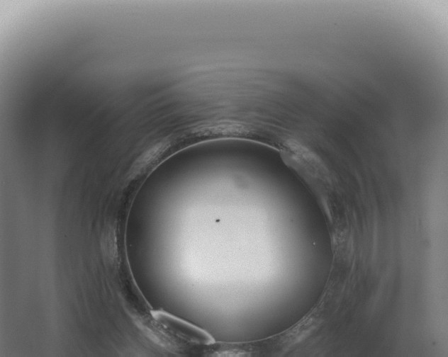 X0000068310158200604281744