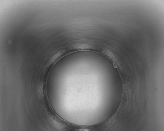 X0000068310159200604281744