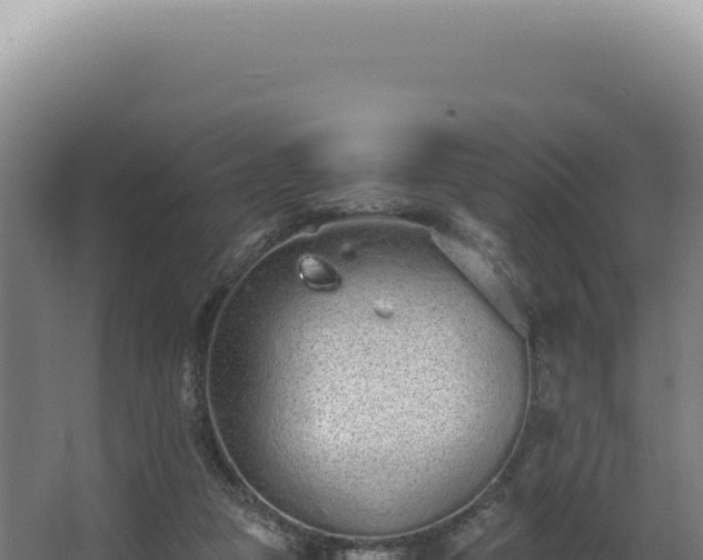 X0000068310161200604281744