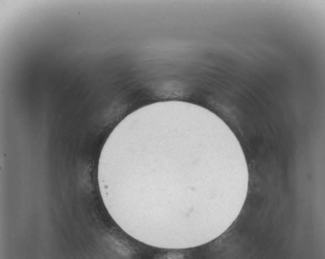 X0000068310162200604281744