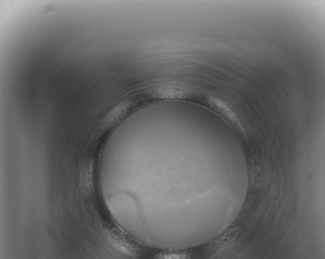 X0000068310163200604281745