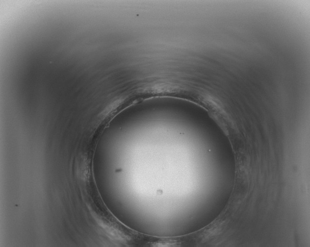 X0000068310164200604281745