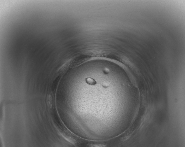 X0000068310165200604281745