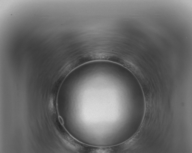 X0000068310166200604281745