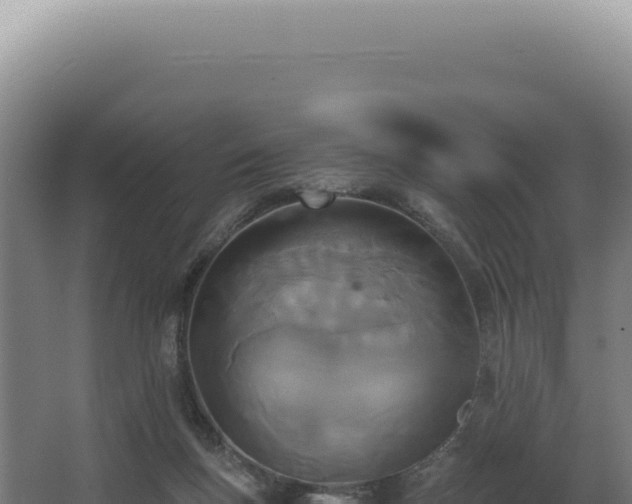 X0000068310167200604281745