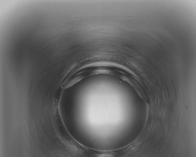 X0000068310168200604281745