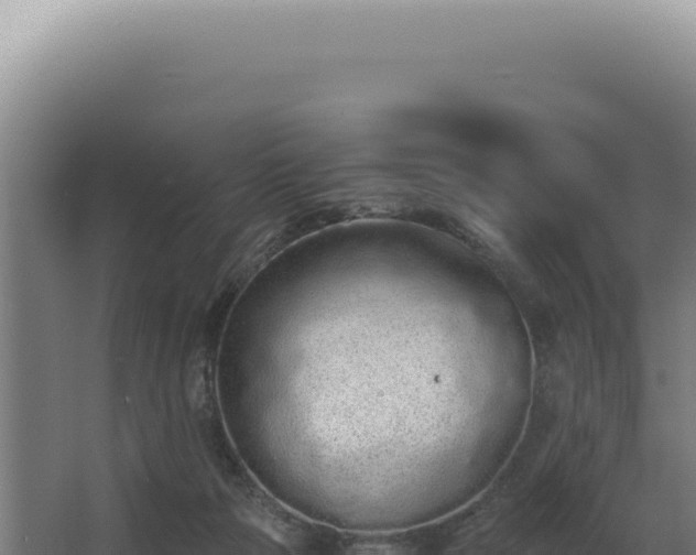 X0000068310169200604281745