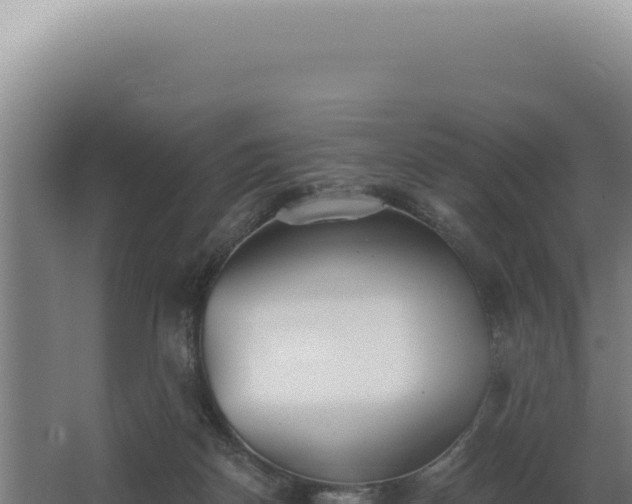 X0000068310170200604281745