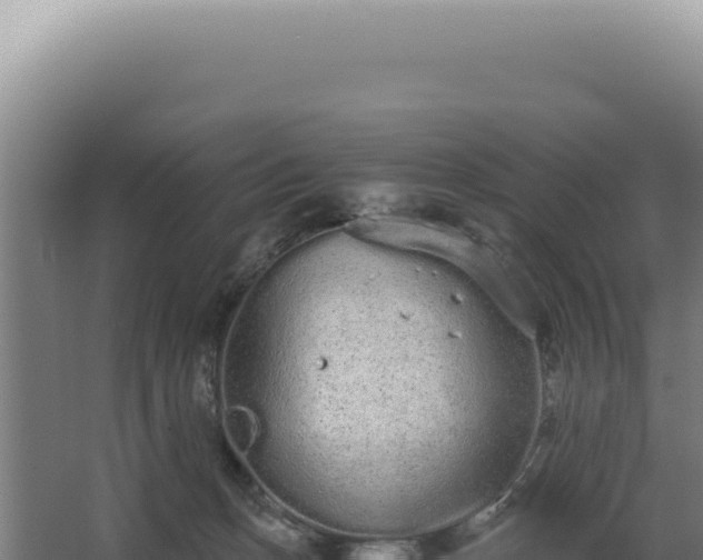 X0000068310175200604281745