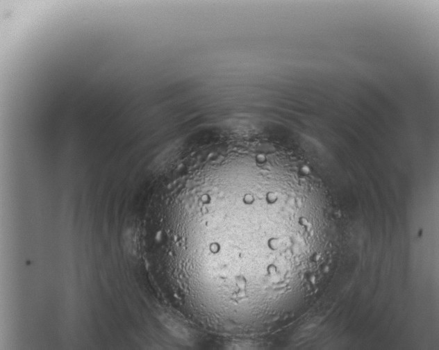 X0000068310177200604281745