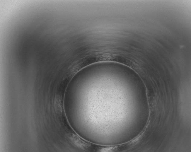 X0000068310178200604281745