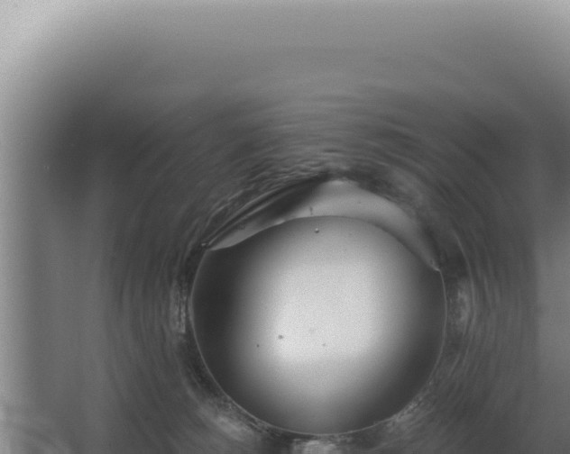 X0000068310180200604281745