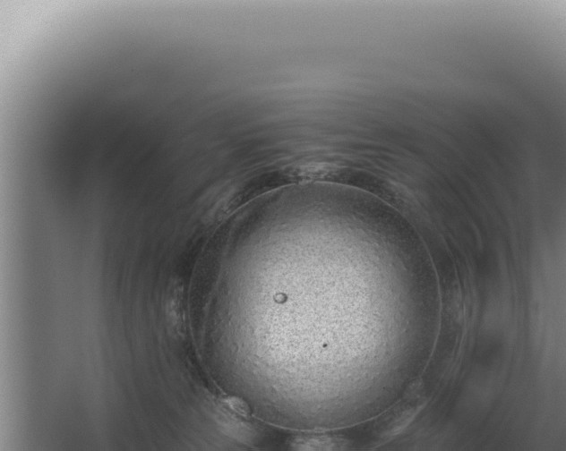 X0000068310181200604281745