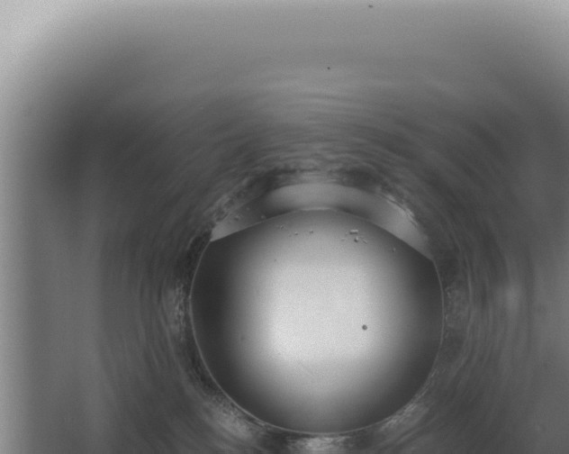 X0000068310184200604281745