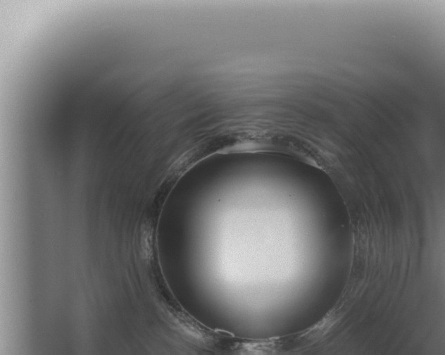 X0000068310188200604281745