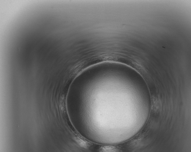 X0000068310189200604281745