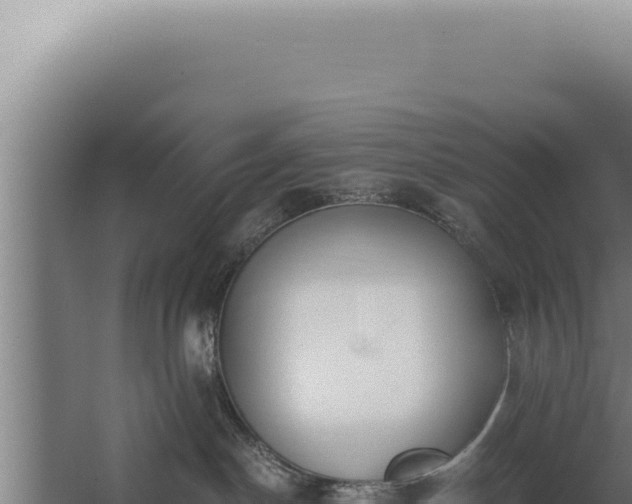 X0000068310190200604281745