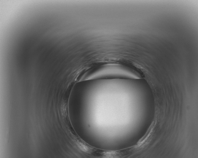 X0000068310192200604281745