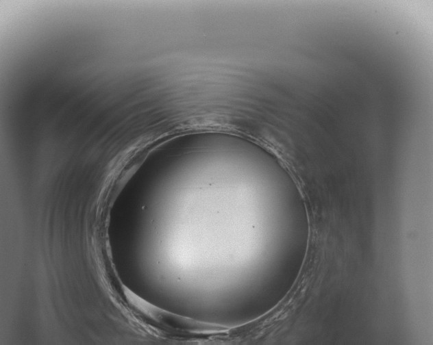 X0000068310193200604281744