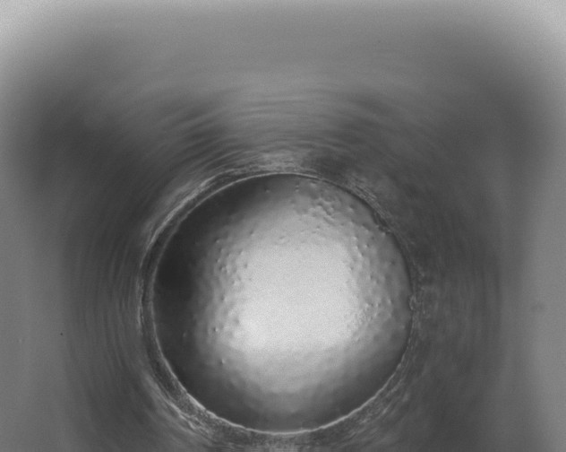 X0000068310194200604281744