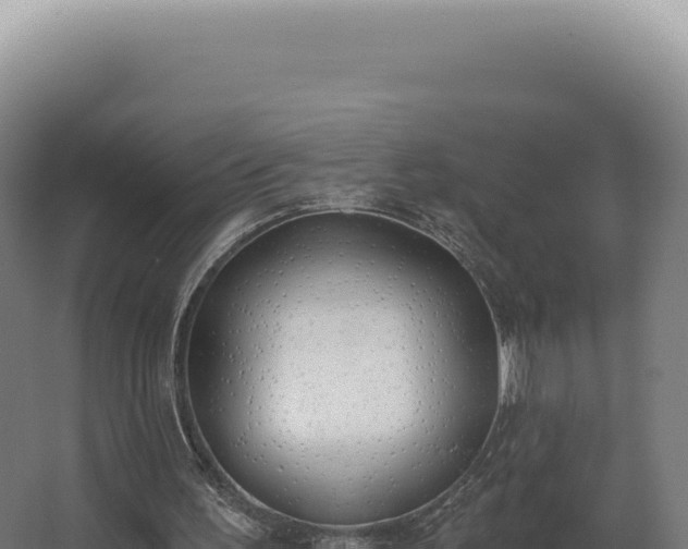 X0000068310195200604281744