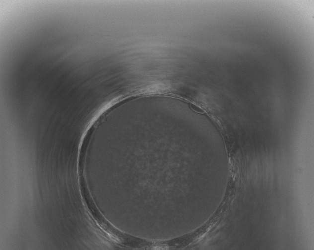 X0000068310196200604281744